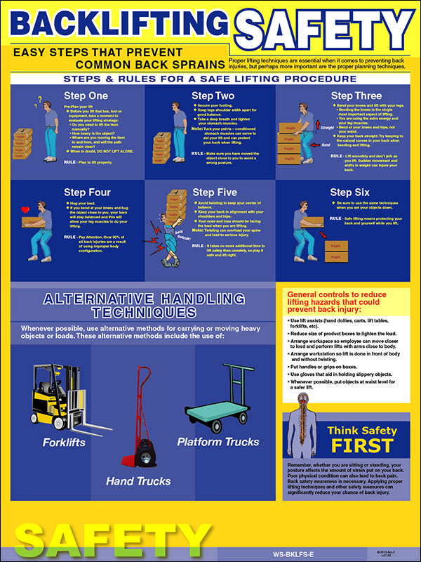 Backlifting Safety Poster image 0
