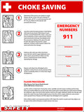 Choke Saving Safety Poster image 0