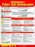 First Aid Guidelines Poster image 0
