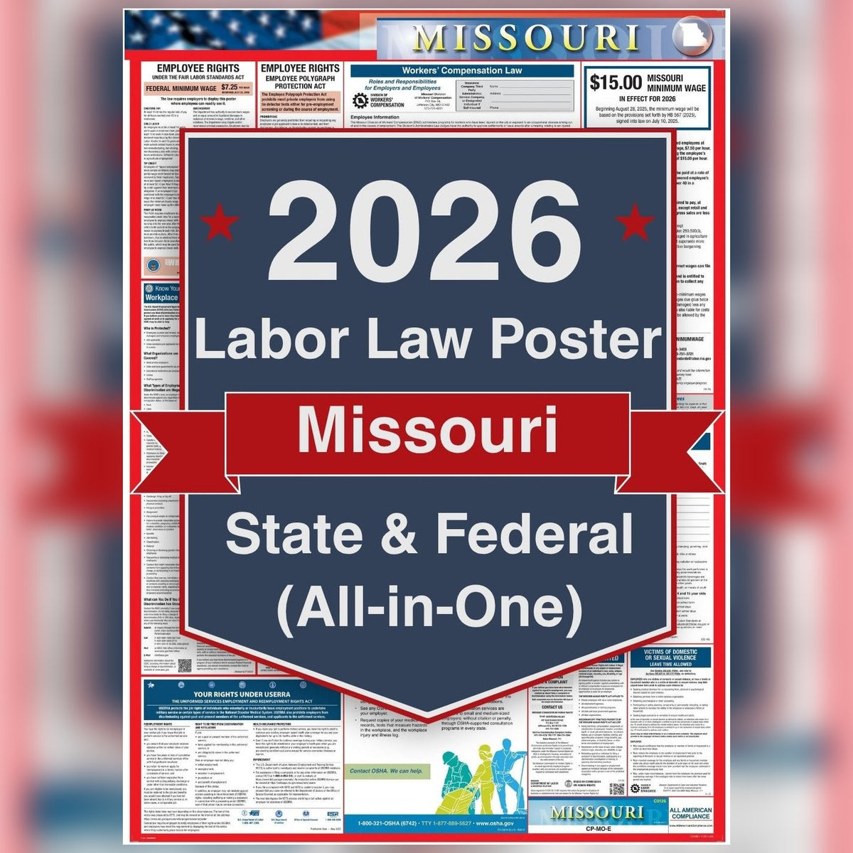 Missouri labor law poster front view.